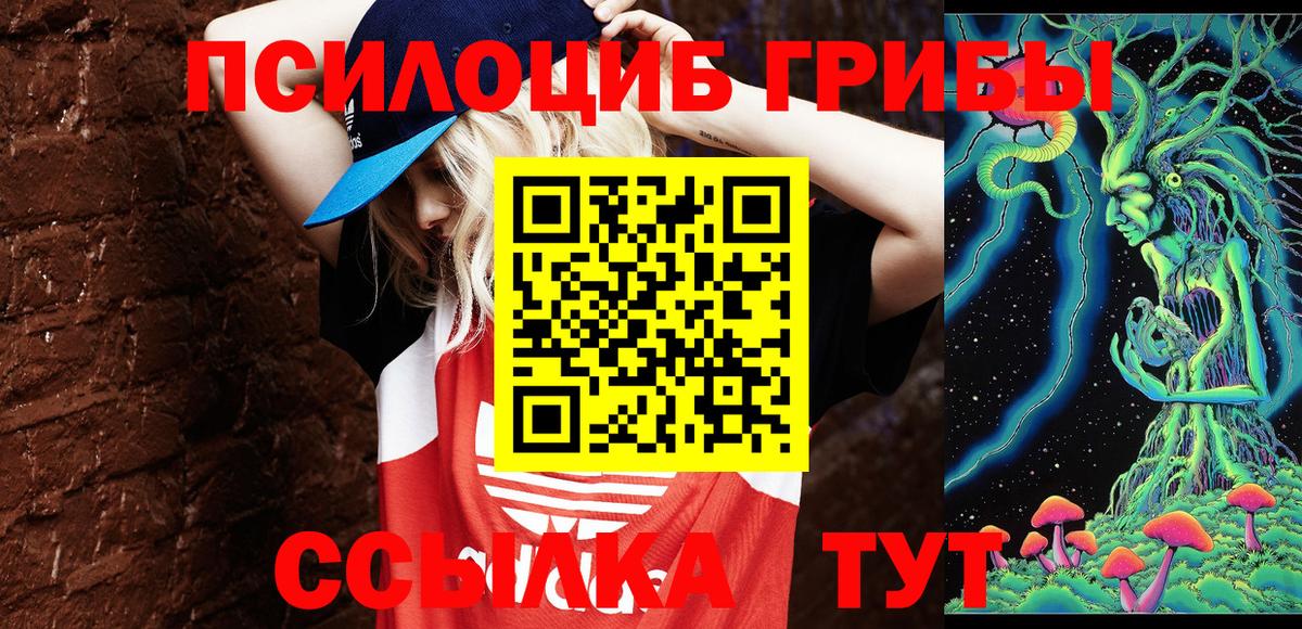 Кудрово  купить наркотик  Галлюциногенные грибы MAGIC MUSHROOMS  Вход с VPN  Псилоцибиновые грибы Magic Shrooms 