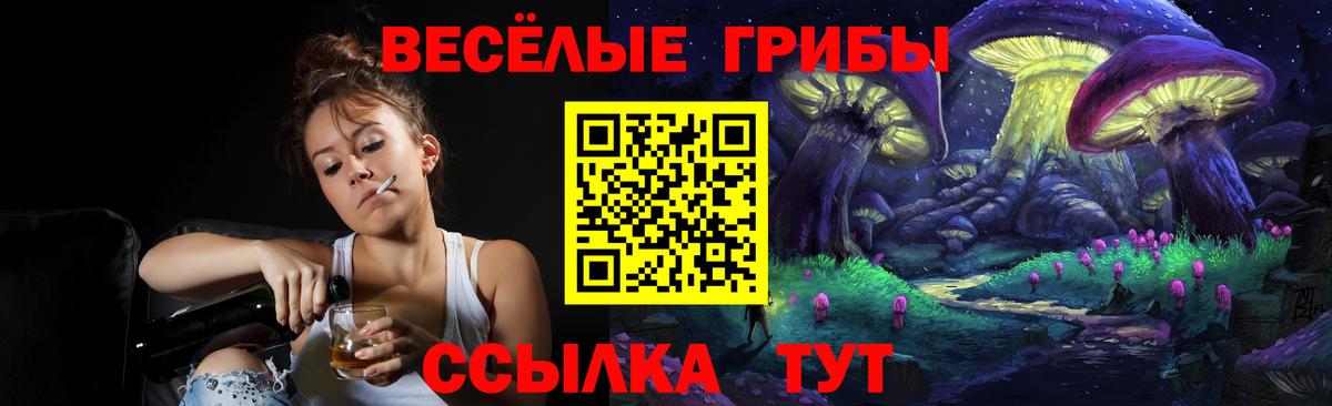 Псилоцибиновые грибы MAGIC MUSHROOMS Кудрово